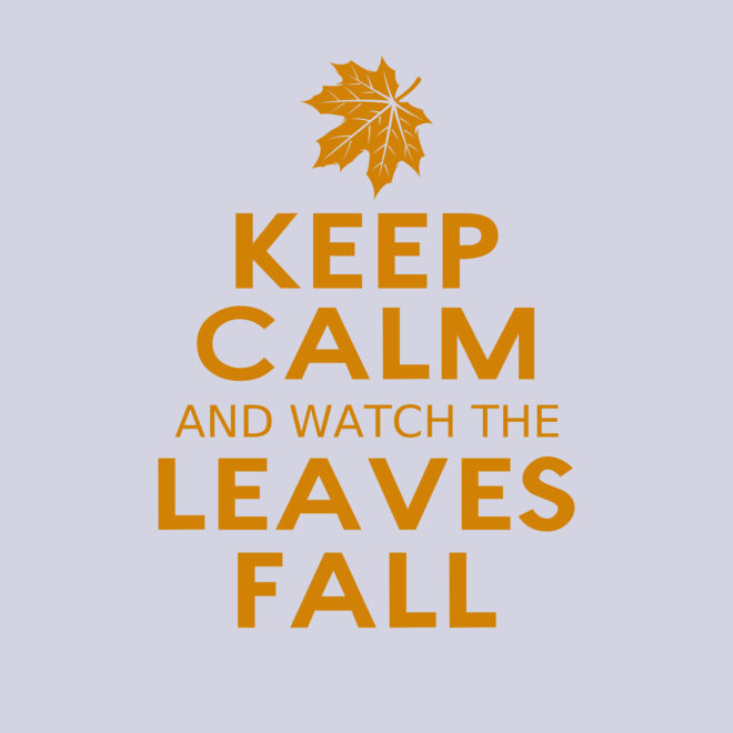 Fall Season 04 Thumbnail