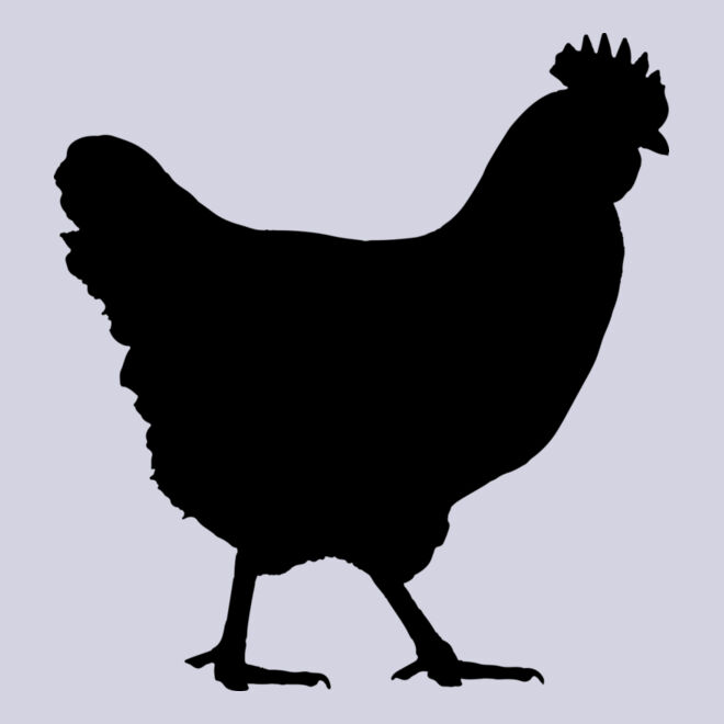Chicken   Clipart 1 Thumbnail