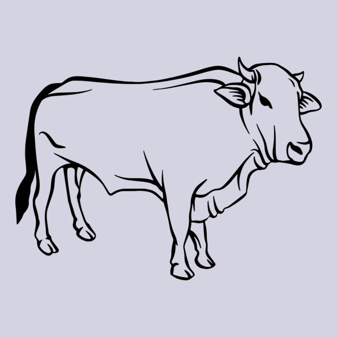Cow   Clipart 2 Thumbnail