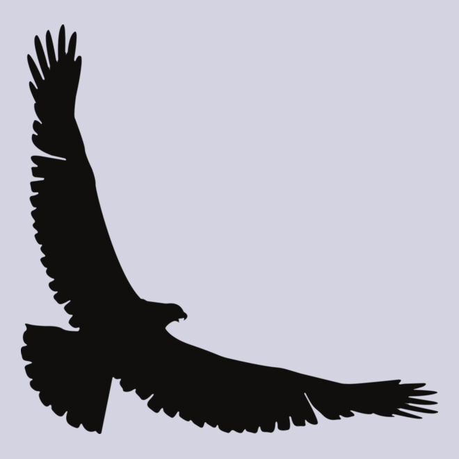 Eagle   Clipart 2 Thumbnail