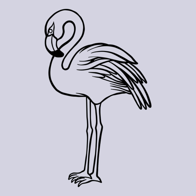 Flamingo   Clipart 1 Thumbnail