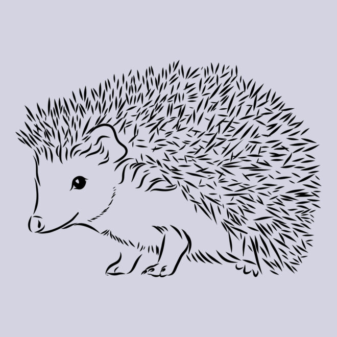 Hedgehog   Clipart 2 Thumbnail