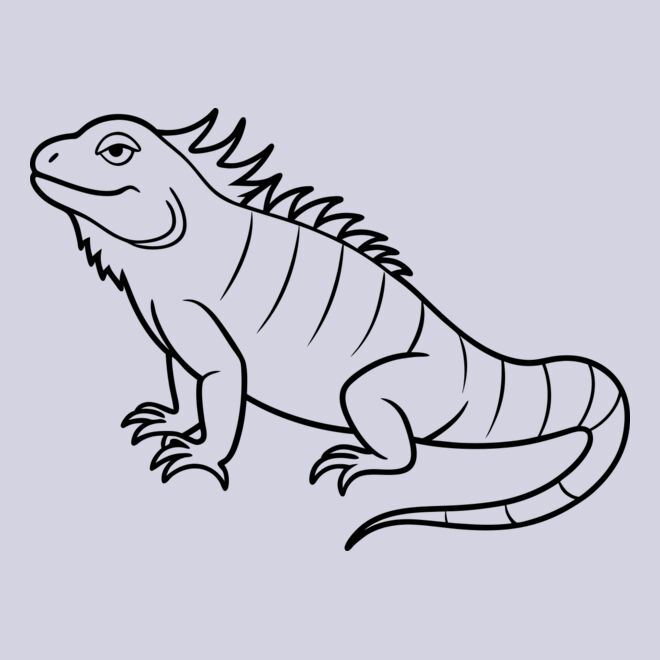 Iguana   Clipart 1 Thumbnail