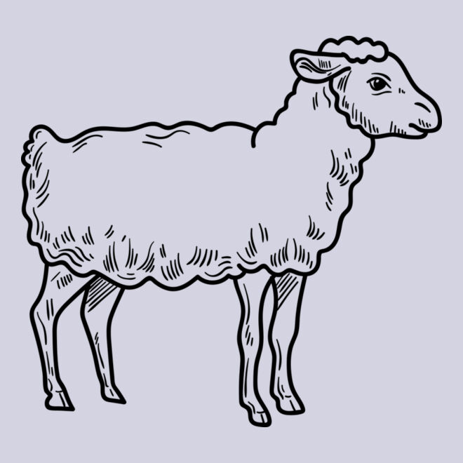 Lamb   Clipart 3 Thumbnail