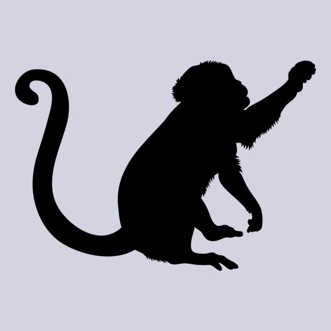 Monkey   Clipart 2 Thumbnail