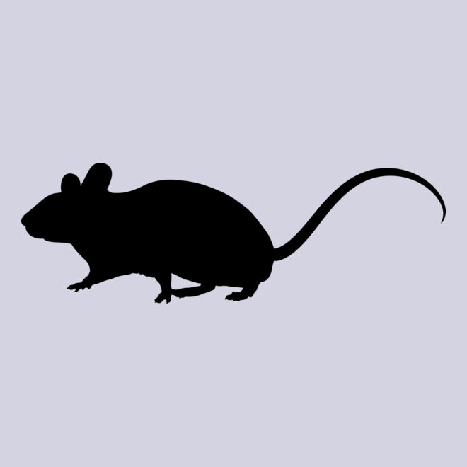 Mouse   Clipart 1 Thumbnail