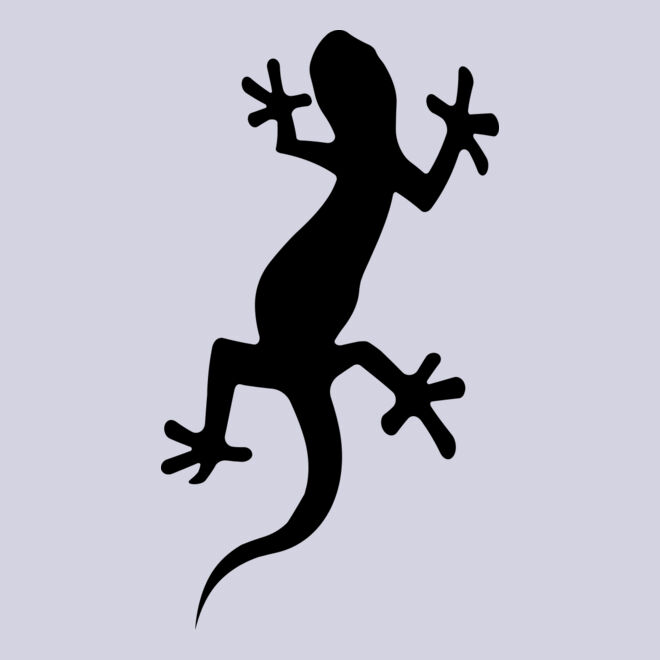 Newt   Clipart 1 Thumbnail