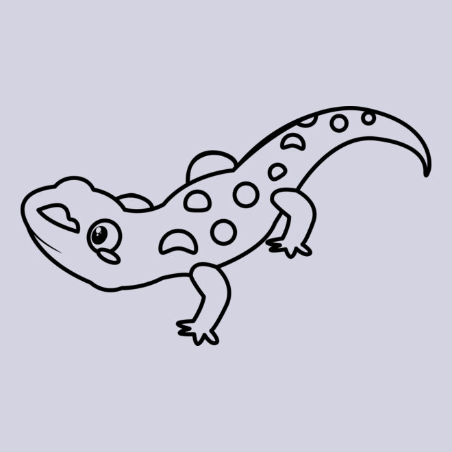 Newt   Clipart 2 Thumbnail