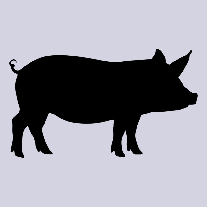 Pig   Clipart 1 Thumbnail