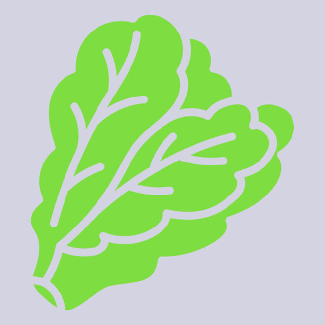 Lettuce Thumbnail