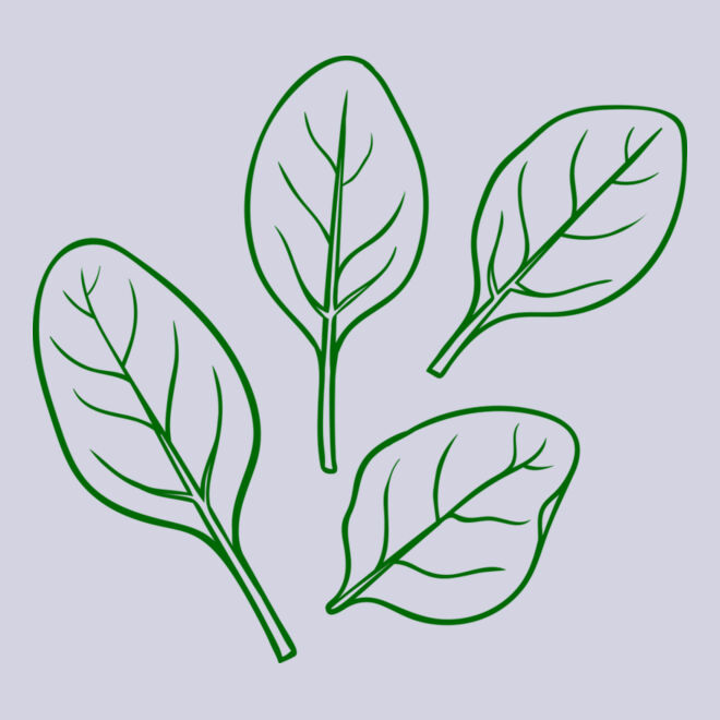 Spinach Thumbnail