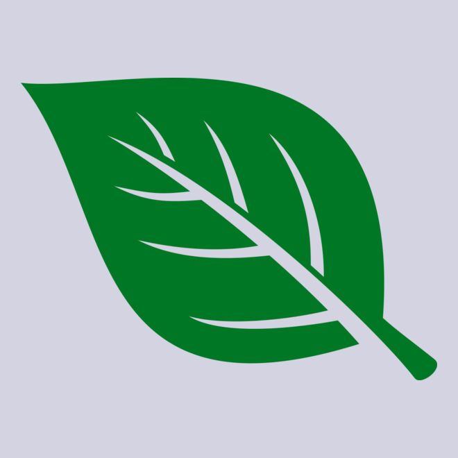 Leaf Thumbnail