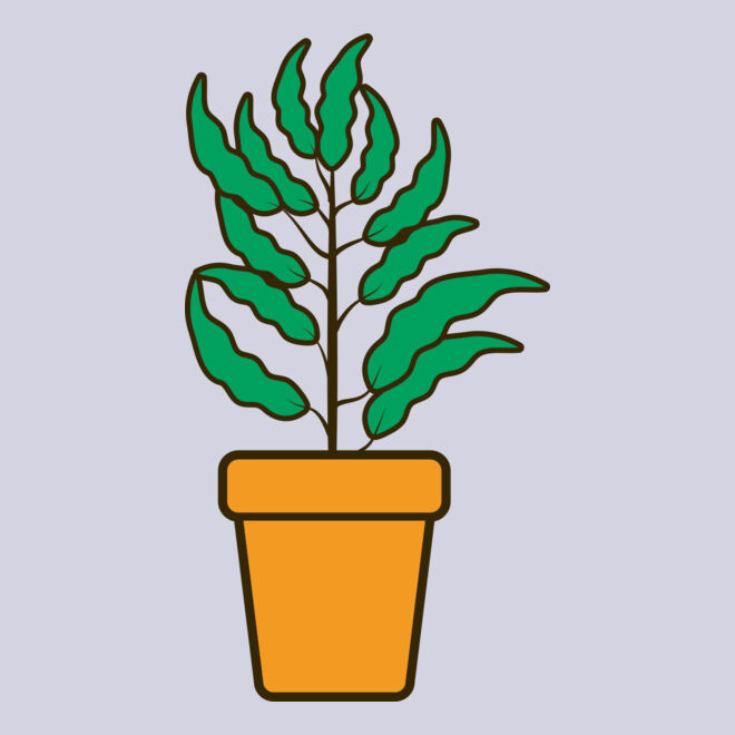 Plant 2 Thumbnail