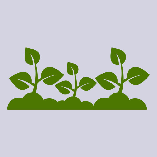 Plant Leaves Thumbnail