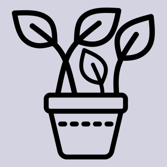 Plotted Plant 3 Thumbnail