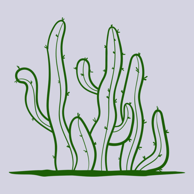 Cactus 2 Thumbnail