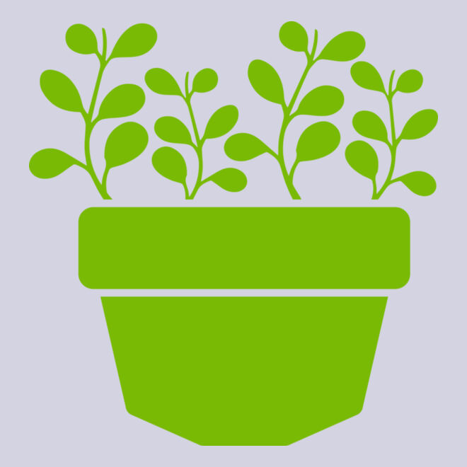 Succulent Plant 3 Thumbnail