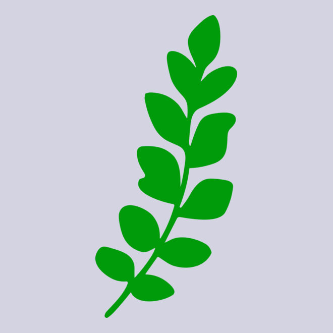 Leaves Thumbnail