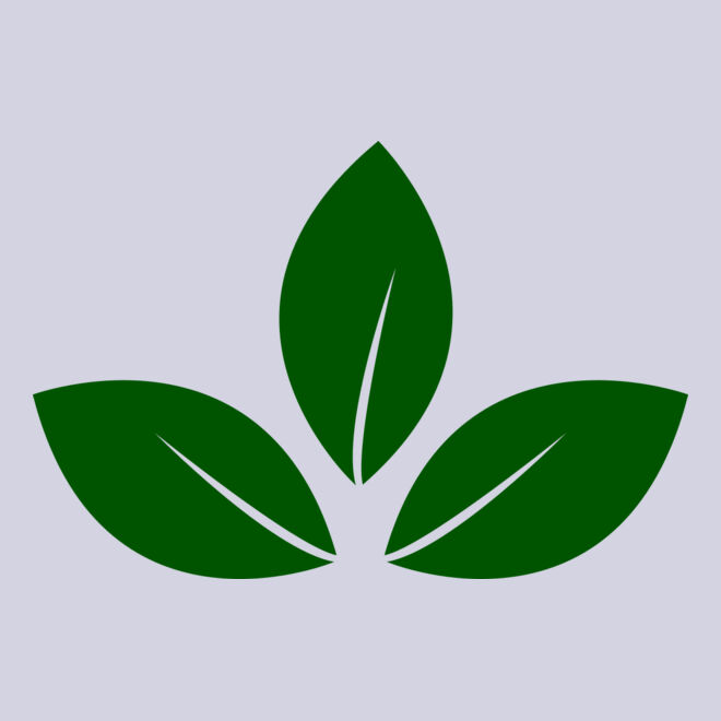 Leaves 5 Thumbnail