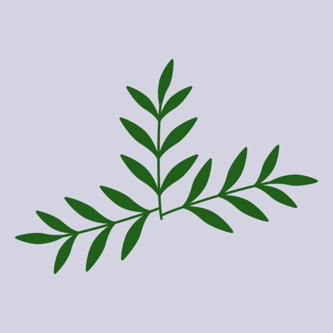 Leaves 2 Thumbnail