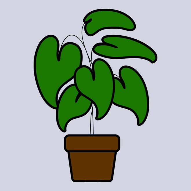 Plant Thumbnail