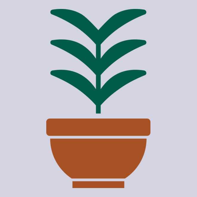 Plant 2 Thumbnail