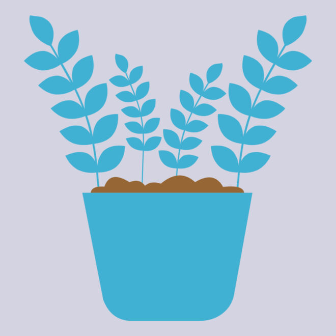 Plant 5 Thumbnail