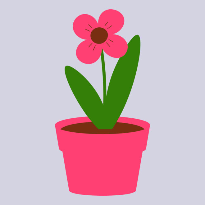 Plant 4 Thumbnail