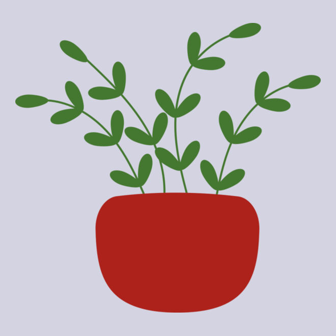Plant 3 Thumbnail