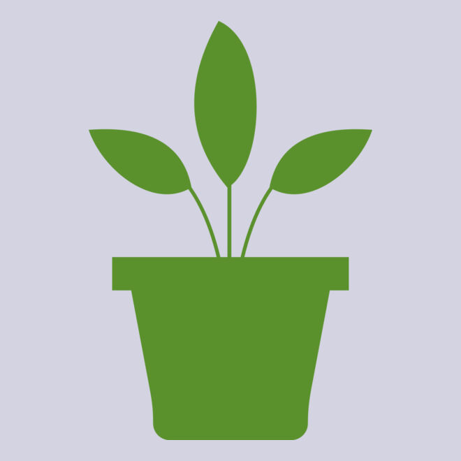 Plant 2 Thumbnail