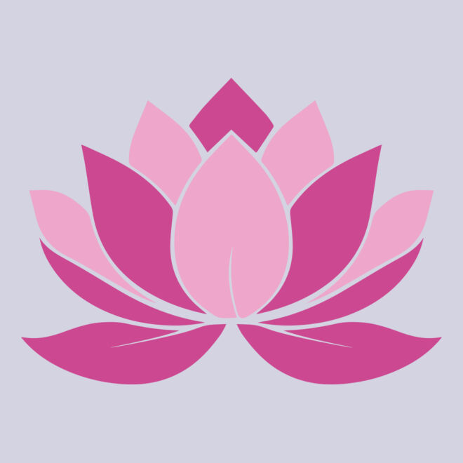 Lotus Flower 3 Thumbnail