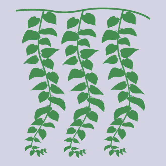 Hanging Plants Thumbnail