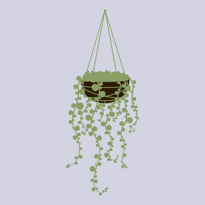 Hanging Plants 3 Thumbnail