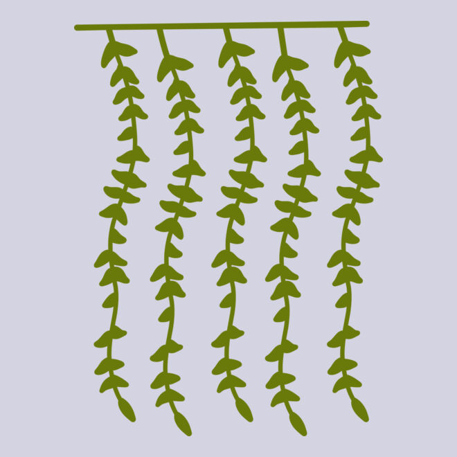 Hanging Plants 2 Thumbnail