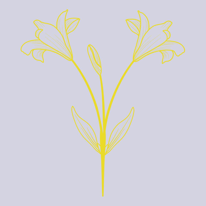 Flowers 9 Thumbnail