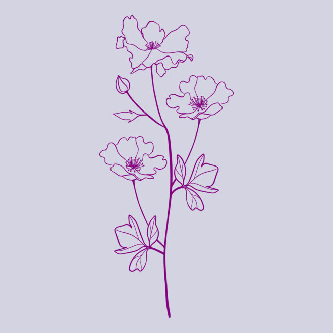 Flower 8 Thumbnail