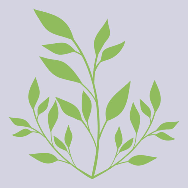 Leaves Thumbnail