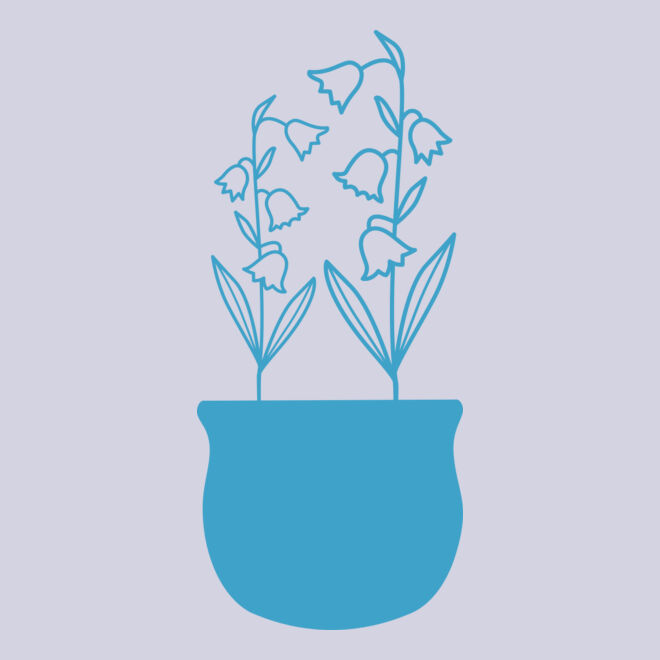 Flowers 5 Thumbnail