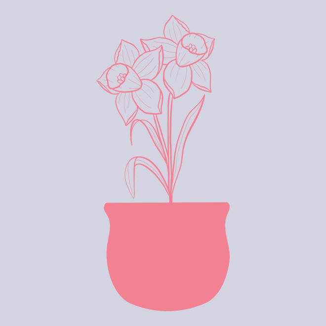 Flowers 4 Thumbnail