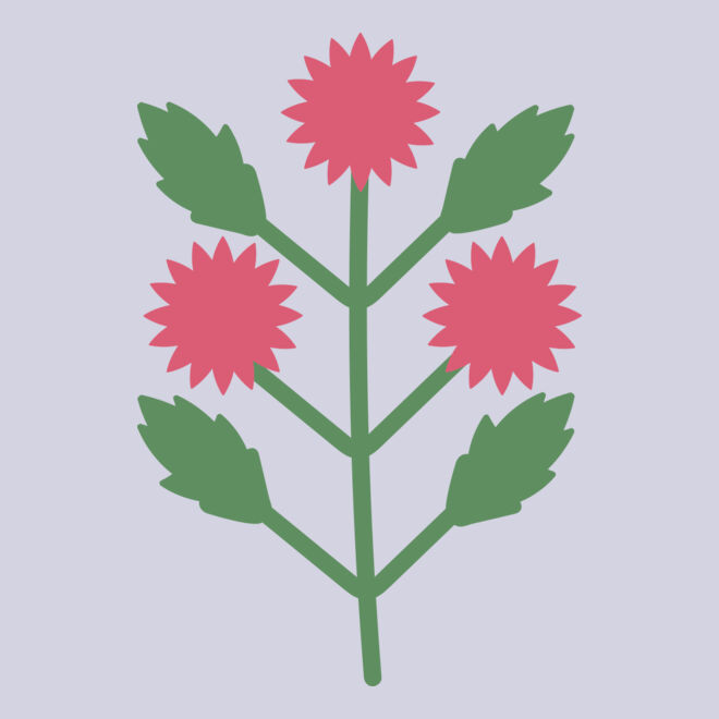Flowers 4 Thumbnail