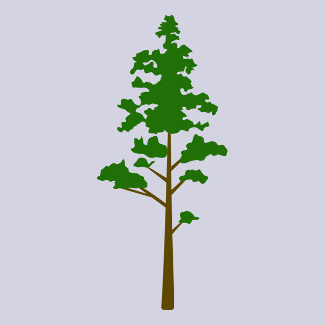 Tree Plant 8 Thumbnail