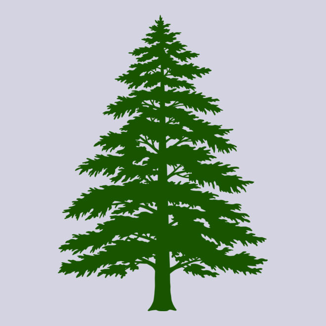 Tree Plant 3 Thumbnail