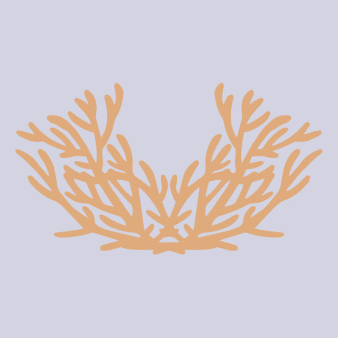 Sea Plants Thumbnail