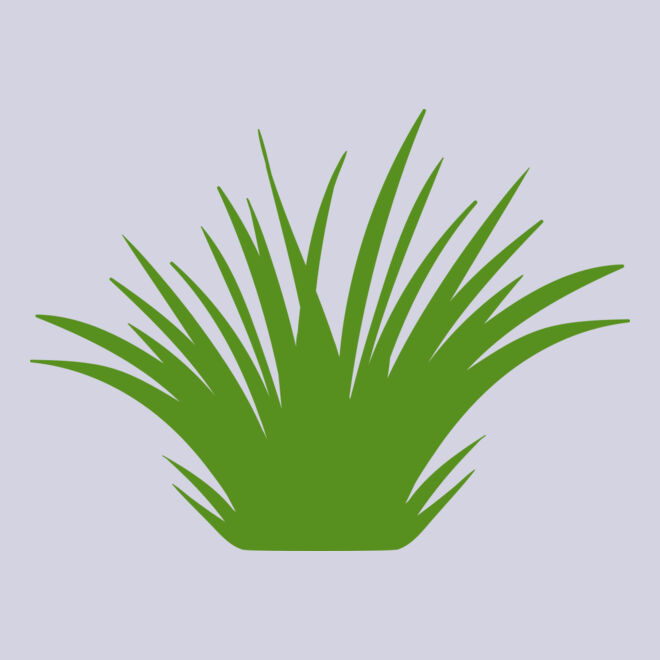 Grass 2 Thumbnail