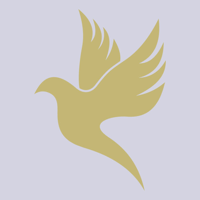 Dove 2 Thumbnail