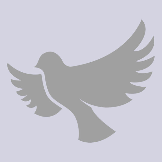Dove Thumbnail