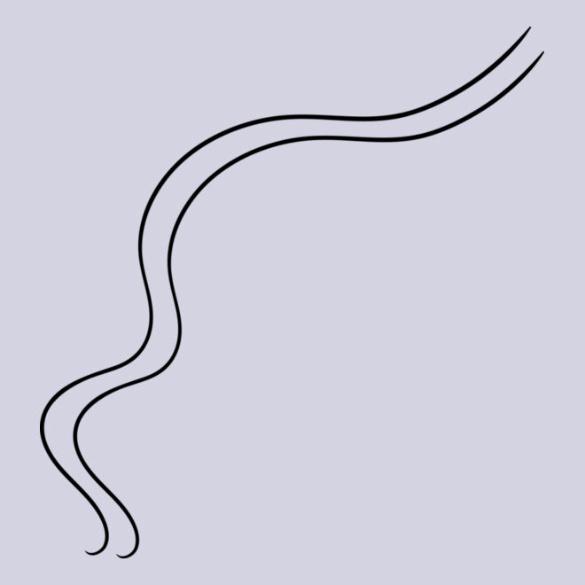 Abstract Curved Line Thumbnail