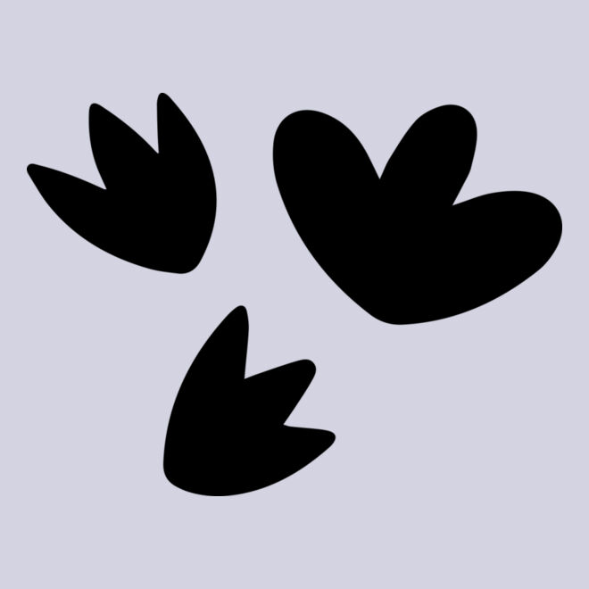 Floating Petals Thumbnail