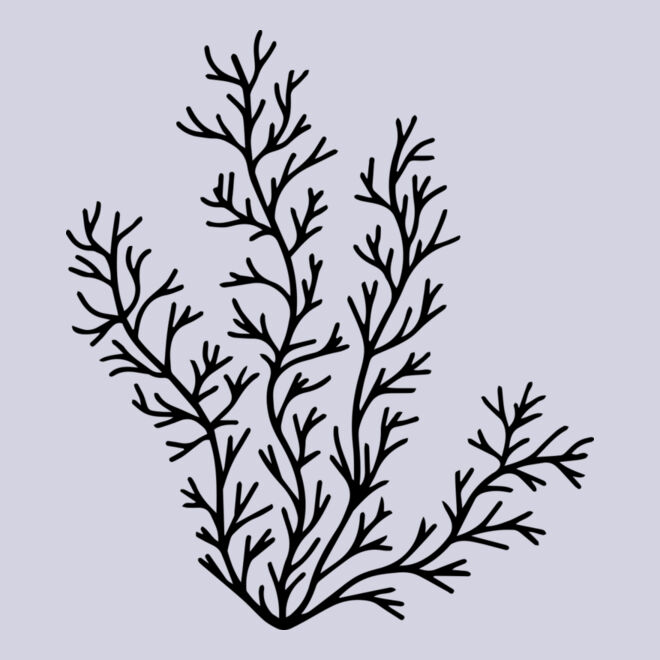 Herb Sprig Thumbnail