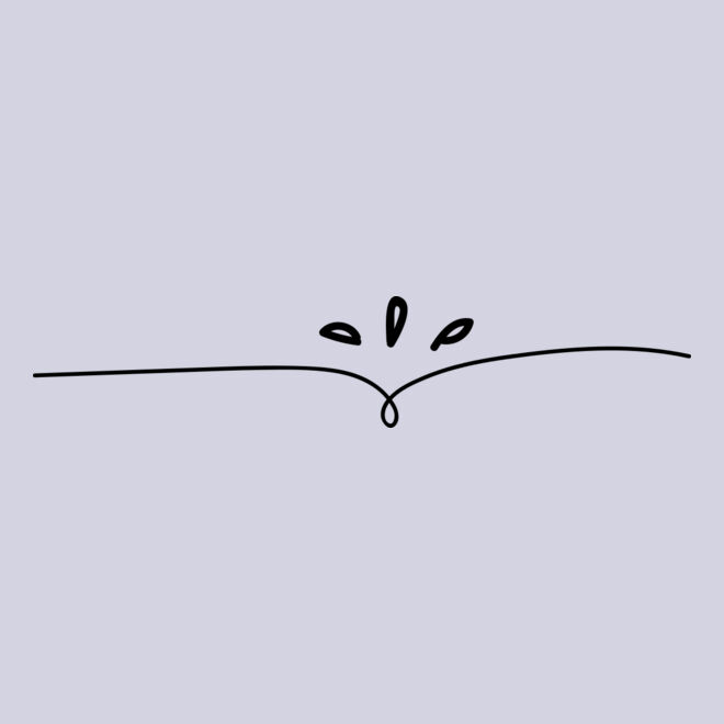 Minimal Elegant Divider Thumbnail
